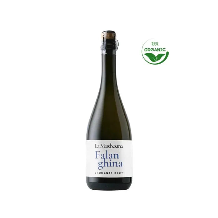 Spumante Brut Charmat organic NV by Polvanera