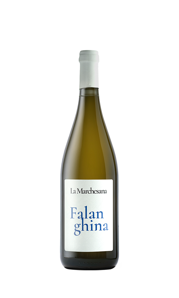 Falanghina Puglia Igt 2024 bio by La Marchesana (Polvanera)